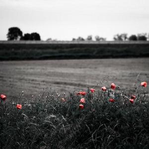 董卿被躁120分钟
