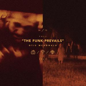 董卿被躁120分钟
