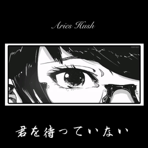 董卿被躁120分钟
