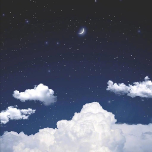 董卿被躁120分钟
