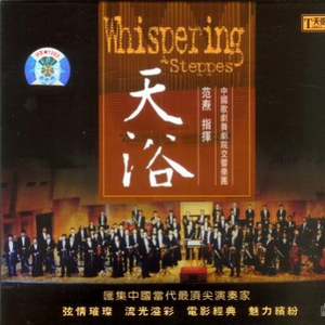 董卿被躁120分钟
